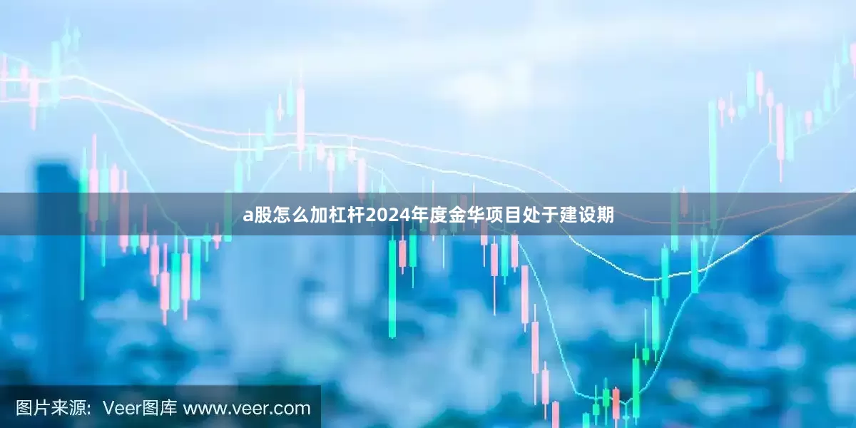 a股怎么加杠杆2024年度金华项目处于建设期