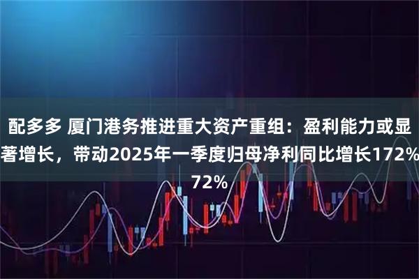 配多多 厦门港务推进重大资产重组：盈利能力或显著增长，带动2025年一季度归母净利同比增长172%